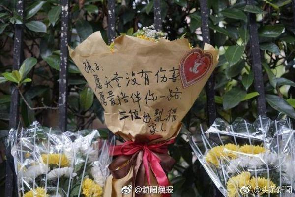 记者：切尔西对哈托估值约4000万欧，参考标准是廷伯的转会费